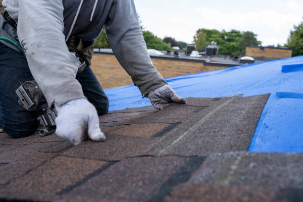 Best Metal Roofing Contractor  in Port Angeles, WA