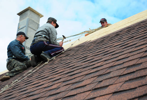 Best Slate Roofing Contractor  in Port Angeles, WA