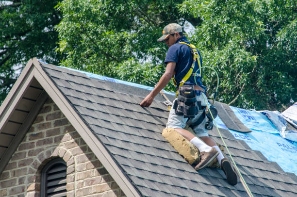 Best Metal Roofing Contractor  in Port Angeles, WA