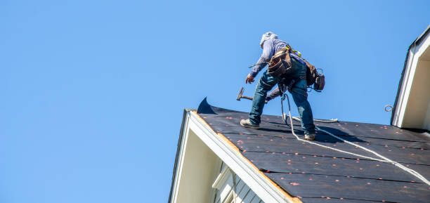 Best Roof Repair Services  in Port Angeles, WA